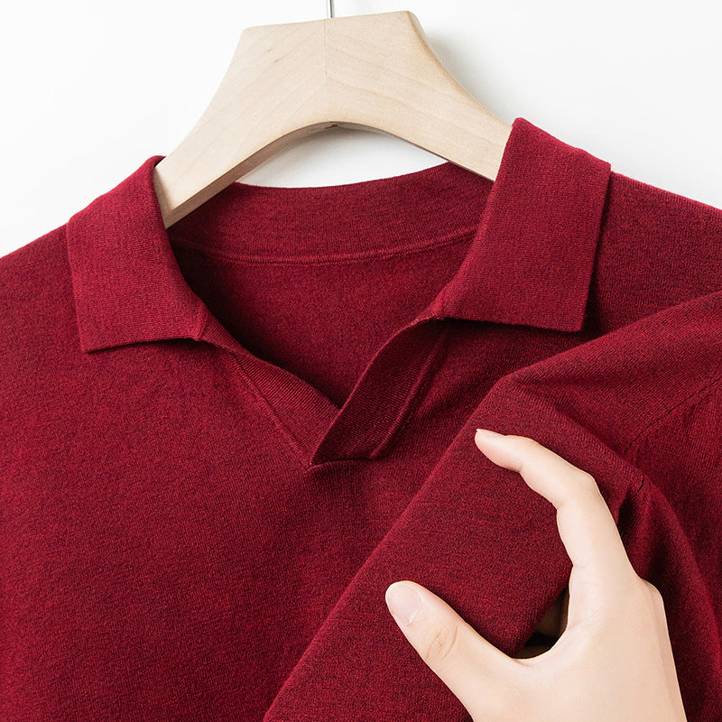 Autumn And Spring Seagull Collar 6 Wool Men's Anti-Pilling Knitted Long Sleeve Polo Shirt Jujube Red